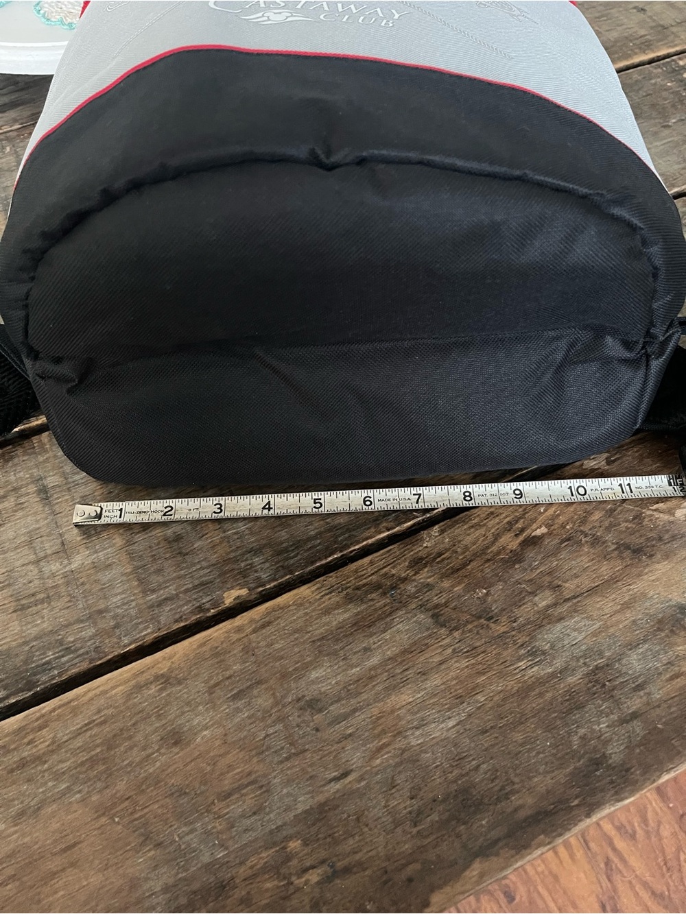 Disney Cruise Line Gray Cooler Pouch with Red Zipper - Picture 12 of 13